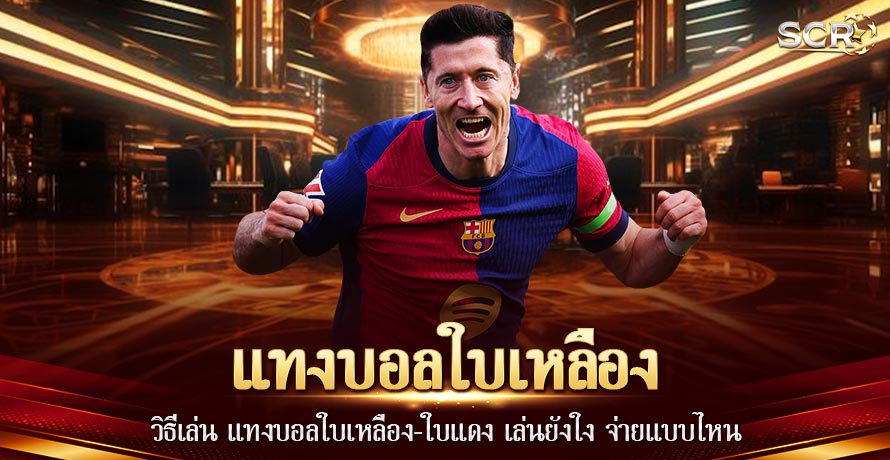 แทงบอลใบเหลือง แทงบอลใบเหลือง