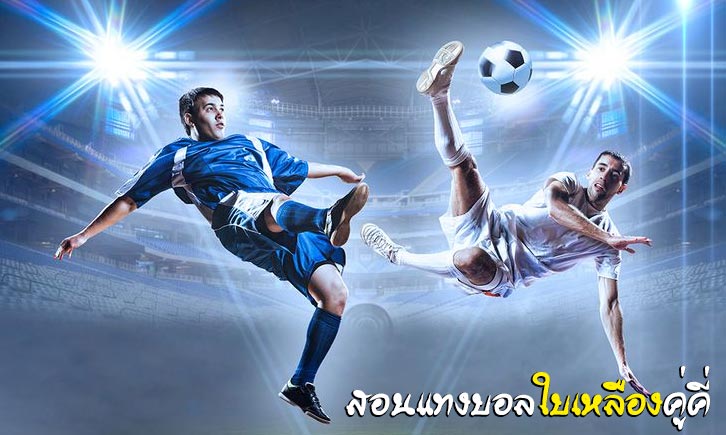 วิธีเล่น แทงบอลใบเหลืองคู่คี่ ให้ได้เงิน