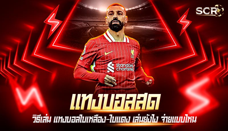 แทงบอลสด