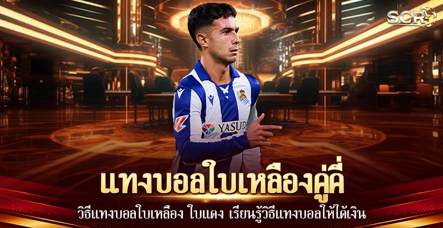 แทงบอลใบเหลืองคู่คี่